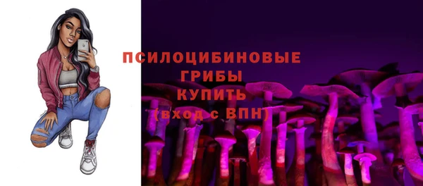 ECSTASY Мегион