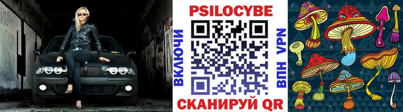 Галлюциногенные грибы Psilocybine cubensis  Нея 